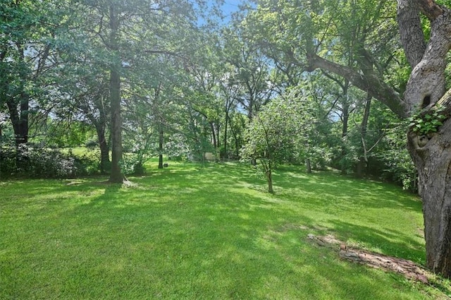 1621 Vilas St, Leavenworth, KS 66048 - view of green lawn