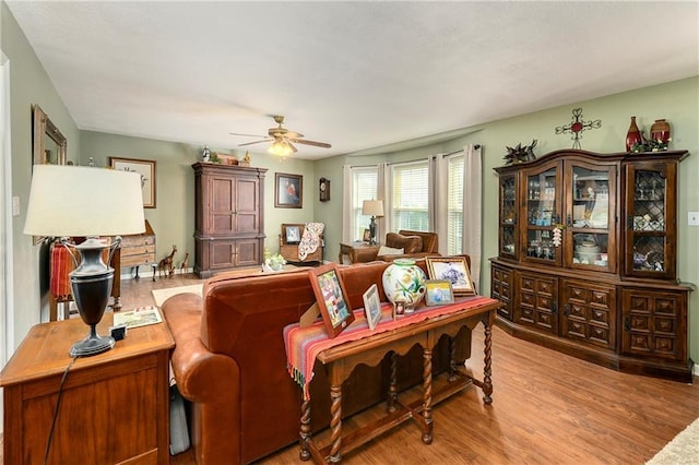407 Maple Ct, Lansing, KS 66043 - living room with light wood finished floors and a ceiling fan