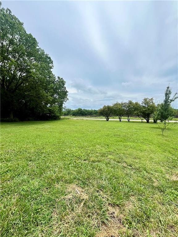 10708 E 301st St, Drexel, MO 64742 - view of grassy yard