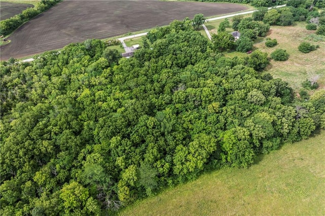 10708 E 301st St, Drexel, MO 64742 - view of property location