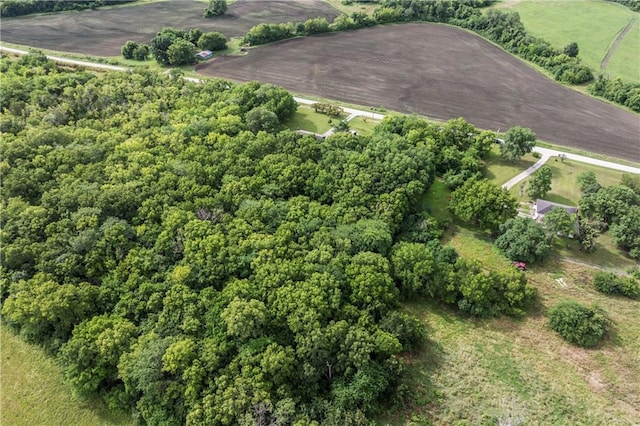 10708 E 301st St, Drexel, MO 64742 - aerial view of property's location with rural landscape