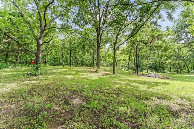 10708 E 301st St, Drexel, MO 64742 - view of grassy yard