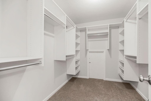11809 Glen Arbor Ter, Kansas City, MO 64114 - photo 22