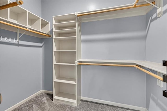 895 N Diane Dr, Olathe, KS 66061 - walk in closet featuring carpet