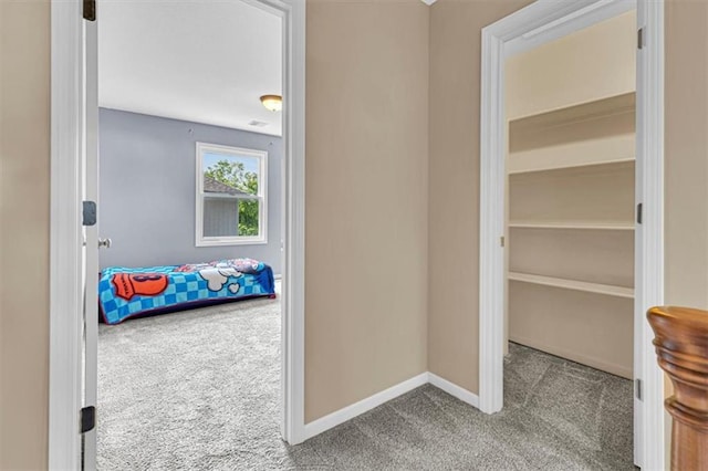 895 N Diane Dr, Olathe, KS 66061 - corridor featuring carpet floors