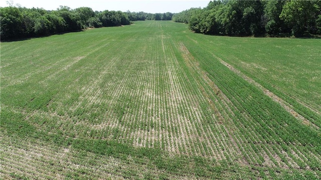 Cowsert Dr, Braymer, MO 64624