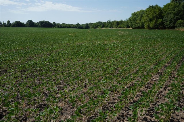 Cowsert Dr, Braymer, MO 64624
