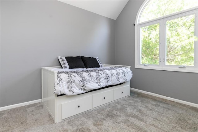 1503 Wrangler Way, Raymore, MO 64083 - bedroom with vaulted ceiling, multiple windows, and carpet flooring