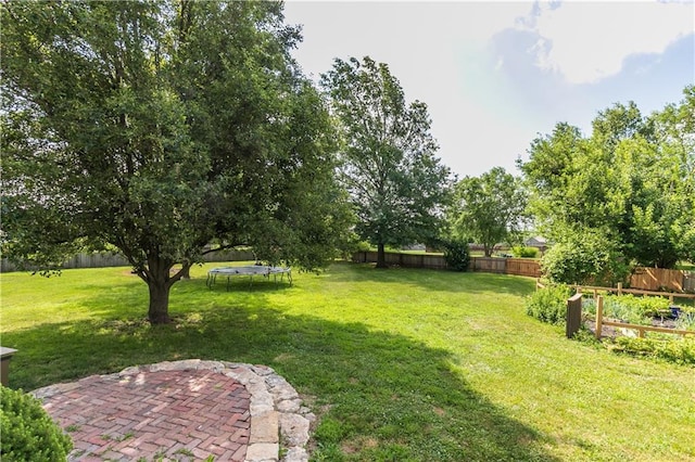 1503 Wrangler Way, Raymore, MO 64083 - fenced backyard featuring a trampoline and a patio