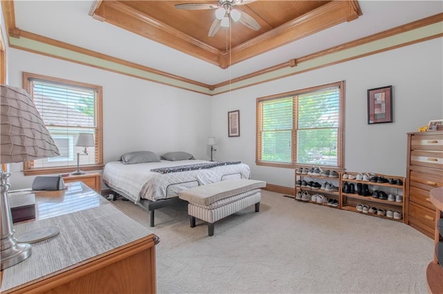 22604 Vincent St, Peculiar, MO 64078 - bedroom featuring a raised ceiling, carpet floors, multiple windows, and crown molding