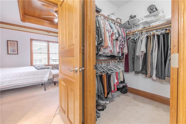 22604 Vincent St, Peculiar, MO 64078 - walk in closet with carpet floors and a ceiling fan