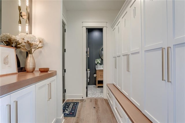 17325 Bradshaw St, Overland Park, KS 66221 - hall featuring light wood-style flooring