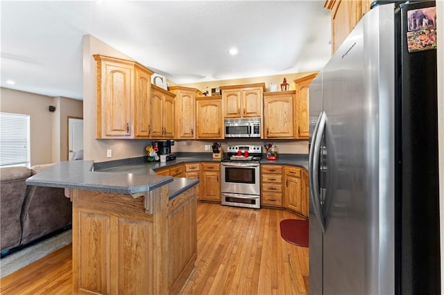 923 E Myrtle St, Pleasant Hill, MO 64080 - photo 12