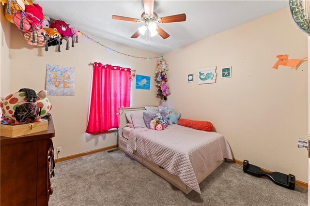 923 E Myrtle St, Pleasant Hill, MO 64080 - photo 24