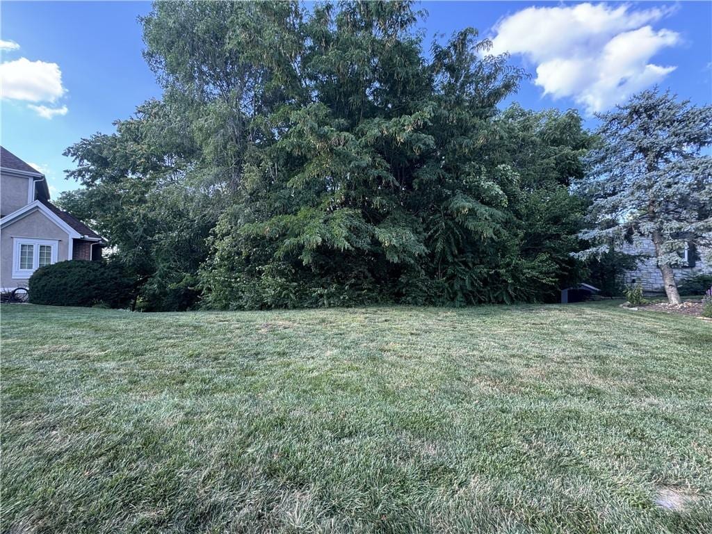 7309 N Myrtle Ave, Kansas City, MO 64119 - photo 4