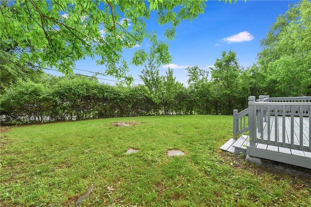 818 N Wigwam Trl, Independence, MO 64056 - view of green lawn with a deck