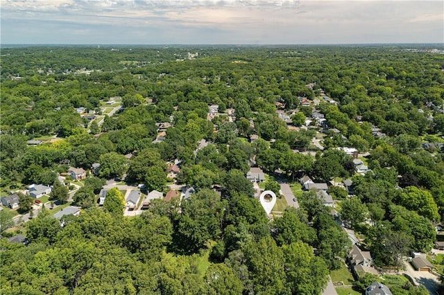 2010 Eugene Field Ave, Saint Joseph, MO 64505 - bird's eye view of a forest