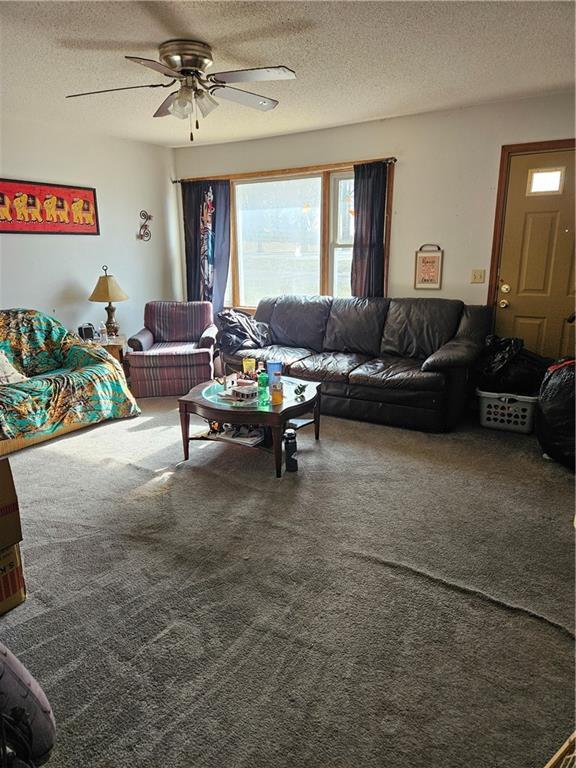 2308 Aull Ln, Lexington, MO 64067 - living room featuring a ceiling fan, a textured ceiling, and carpet floors