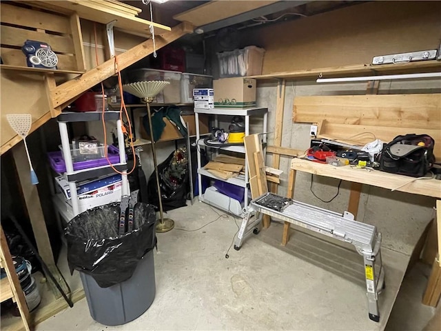 17540 W 159th Ct, Olathe, KS 66062 - view of storage