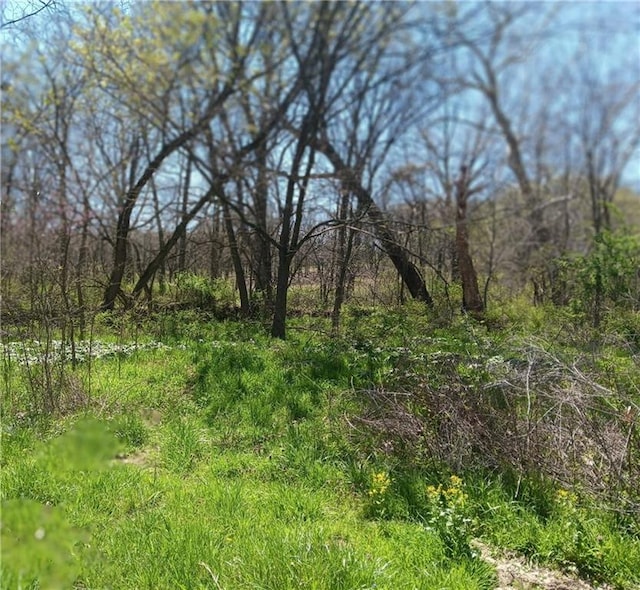 602 SE 400th Rd, Clinton, MO 64735 - photo 52