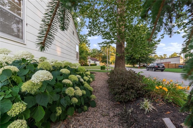3600 NE 52nd Ter, Kansas City, MO 64119 - view of yard