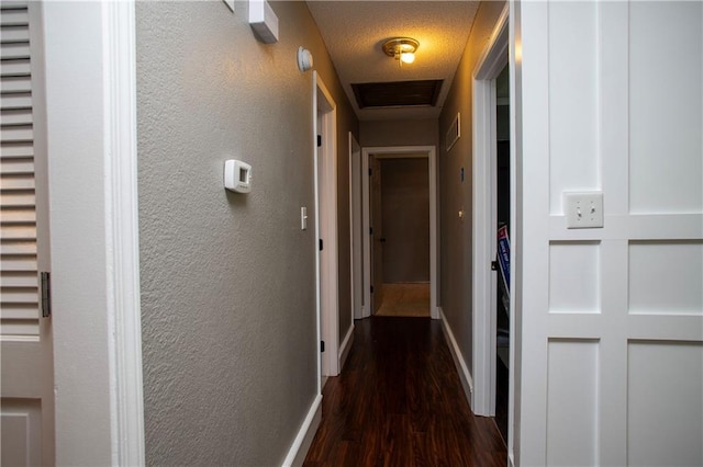19707 E 14th St, Independence, MO 64056 - hall with dark wood finished floors and a textured wall