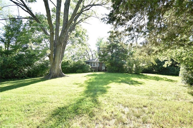 16210 Baxter Rd, Excelsior Springs, MO 64024 - view of green lawn