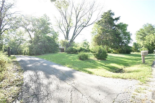 16210 Baxter Rd, Excelsior Springs, MO 64024 - view of asphalt road