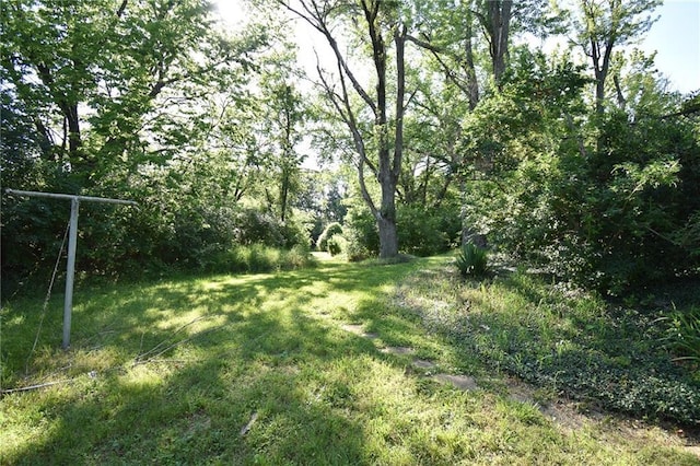 16210 Baxter Rd, Excelsior Springs, MO 64024 - view of green lawn