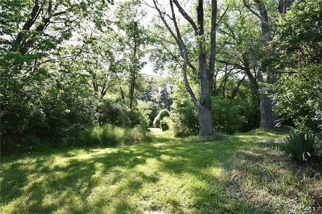 16210 Baxter Rd, Excelsior Springs, MO 64024 - view of green lawn featuring a view of trees