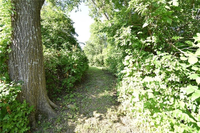 16210 Baxter Rd, Excelsior Springs, MO 64024 - view of undeveloped land