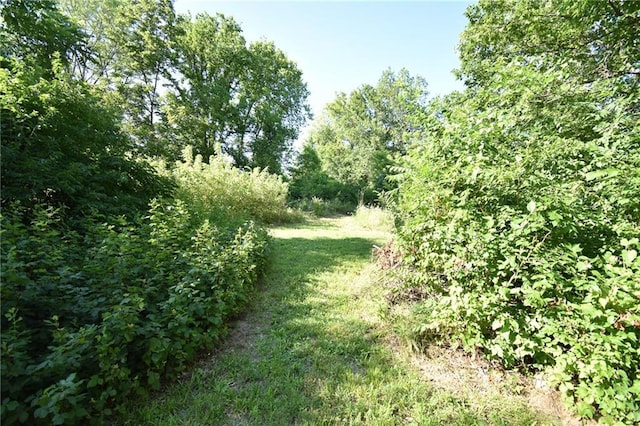 16210 Baxter Rd, Excelsior Springs, MO 64024 - view of undeveloped land