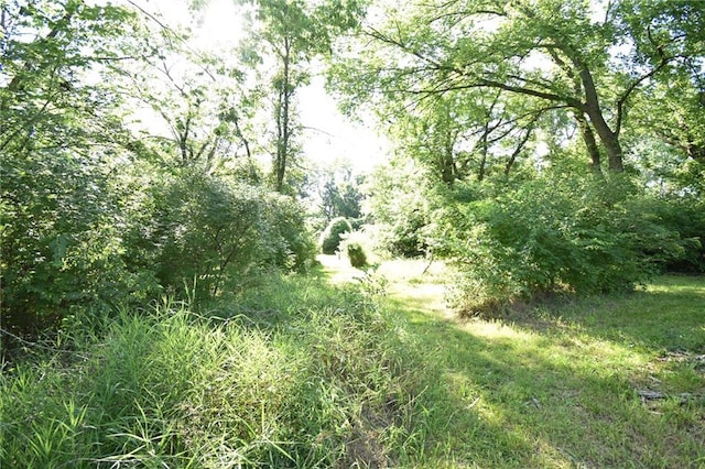 16210 Baxter Rd, Excelsior Springs, MO 64024 - view of local wilderness