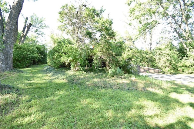 16210 Baxter Rd, Excelsior Springs, MO 64024 - view of green lawn