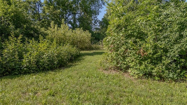 16210 Baxter Rd, Excelsior Springs, MO 64024 - view of undeveloped land