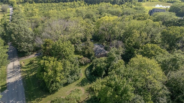 16210 Baxter Rd, Excelsior Springs, MO 64024 - view of property location with a heavily wooded area