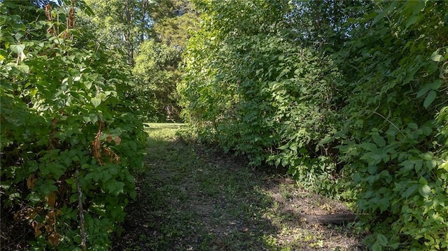 16210 Baxter Rd, Excelsior Springs, MO 64024 - view of local wilderness