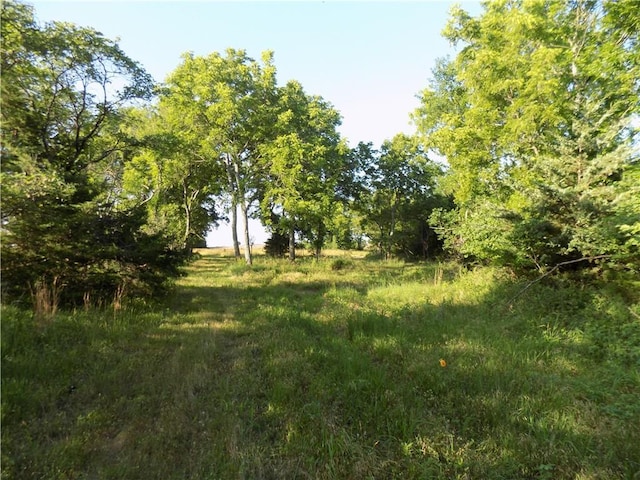 1392 Rock Creek Rd, Williamsburg, KS 66095 - photo 8