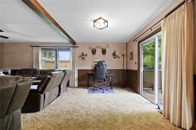 904 Leone Ave, Sedalia, MO 65301 - office area featuring healthy amount of natural light, a wainscoted wall, a textured ceiling, carpet flooring, and wooden walls