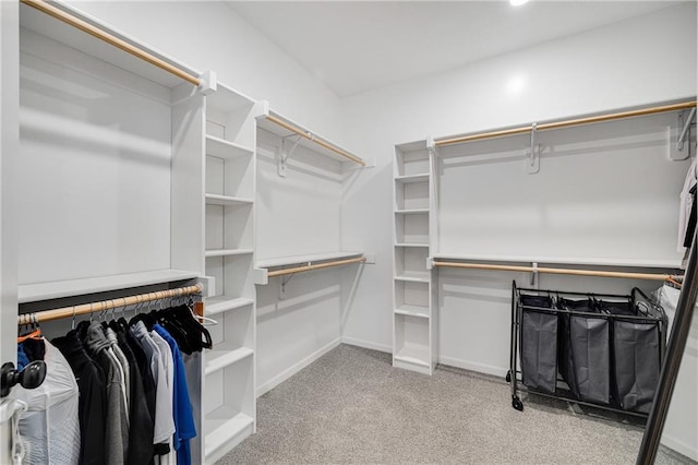 1296 NW Lindenwood Dr, Grain Valley, MO 64029 - walk in closet featuring carpet flooring