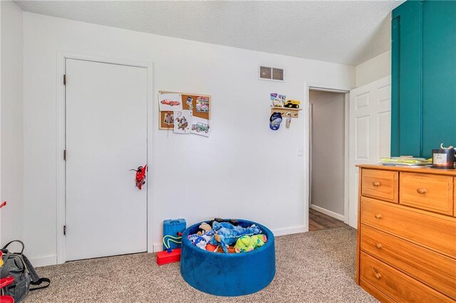 4252 SE Valleyview Ln, Holt, MO 64048 - playroom with carpet floors and a textured ceiling