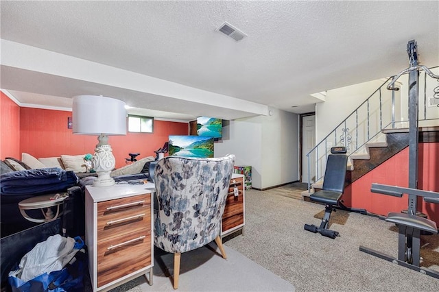 4252 SE Valleyview Ln, Holt, MO 64048 - office area featuring carpet floors and a textured ceiling