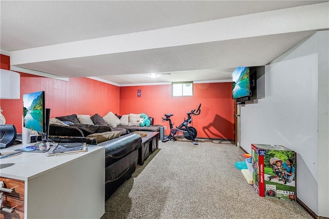 4252 SE Valleyview Ln, Holt, MO 64048 - carpeted living room featuring wood walls