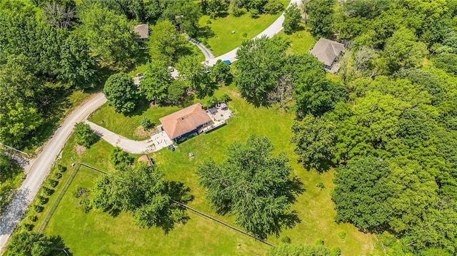 4252 SE Valleyview Ln, Holt, MO 64048 - drone / aerial view