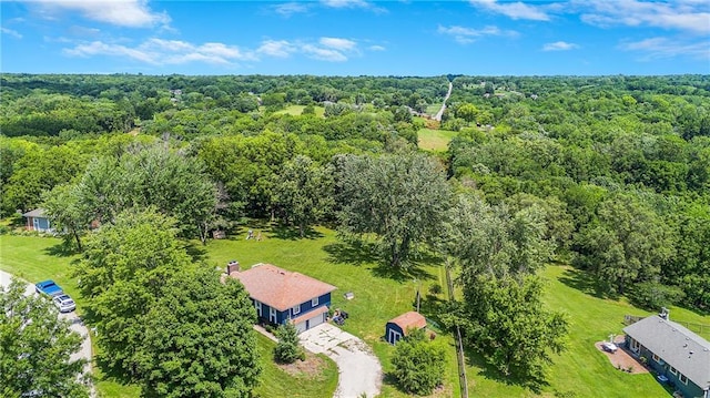 4252 SE Valleyview Ln, Holt, MO 64048 - aerial view of a heavily wooded area