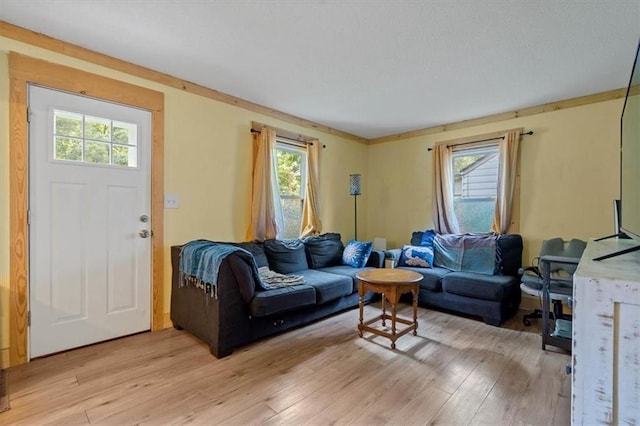 733 S Chestnut St, Olathe, KS 66061 - living area featuring light wood-type flooring