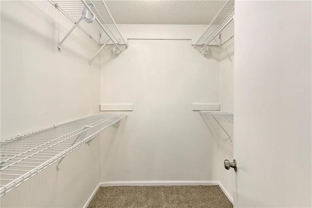 805 NW 18th St, Blue Springs, MO 64015 - walk in closet with carpet flooring