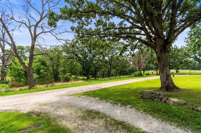 931 Rooffener Rd, Macks Creek, MO 65786 - photo 44