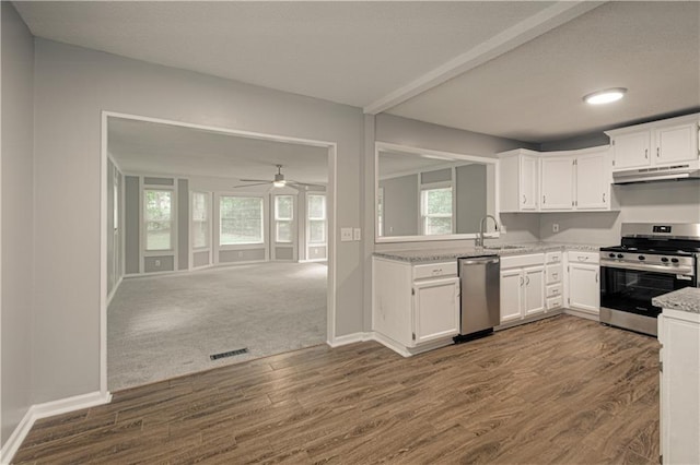 8167 NE 50th St, Kansas City, MO 64119 - kitchen with stainless steel appliances, under cabinet range hood, dark wood-type flooring, white cabinets, and recessed lighting