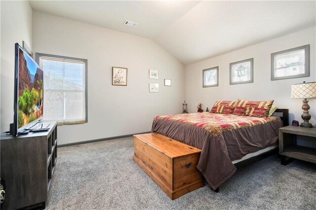 170 SW Roosevelt Rdg, Lees Summit, MO 64081 - photo 30